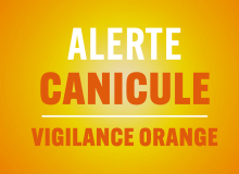 Alerte Canicule