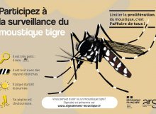 Information Moustique Tigre